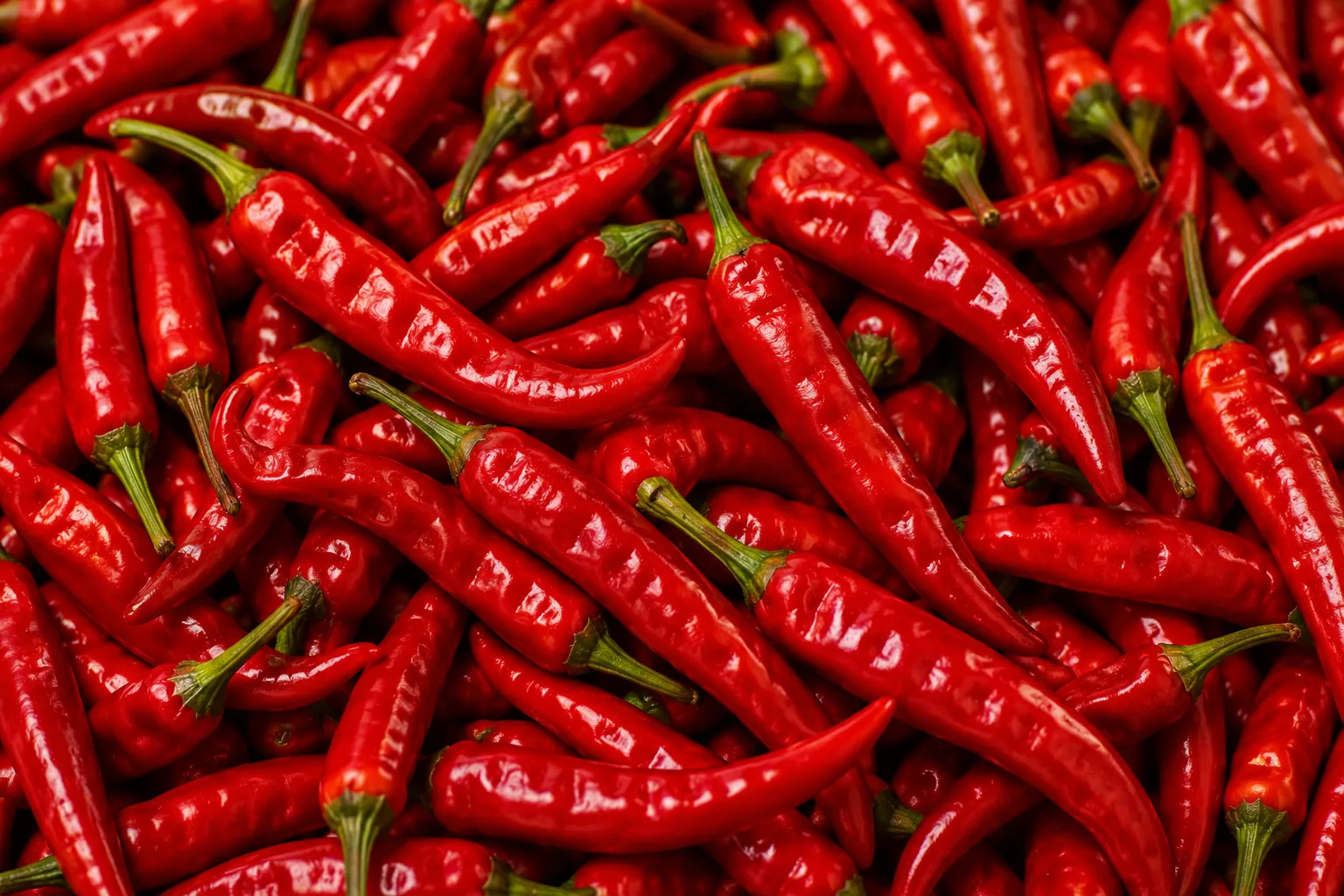 Red Chilli Exporter from India